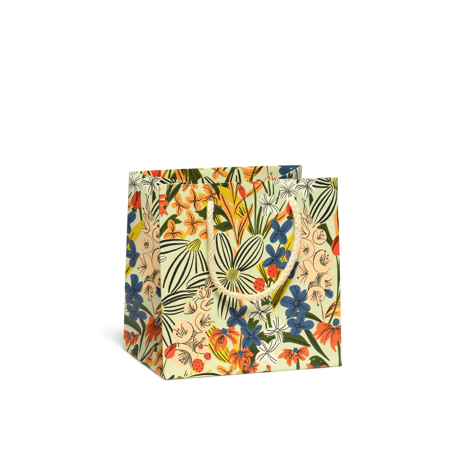 Striped Florals Large gift bag