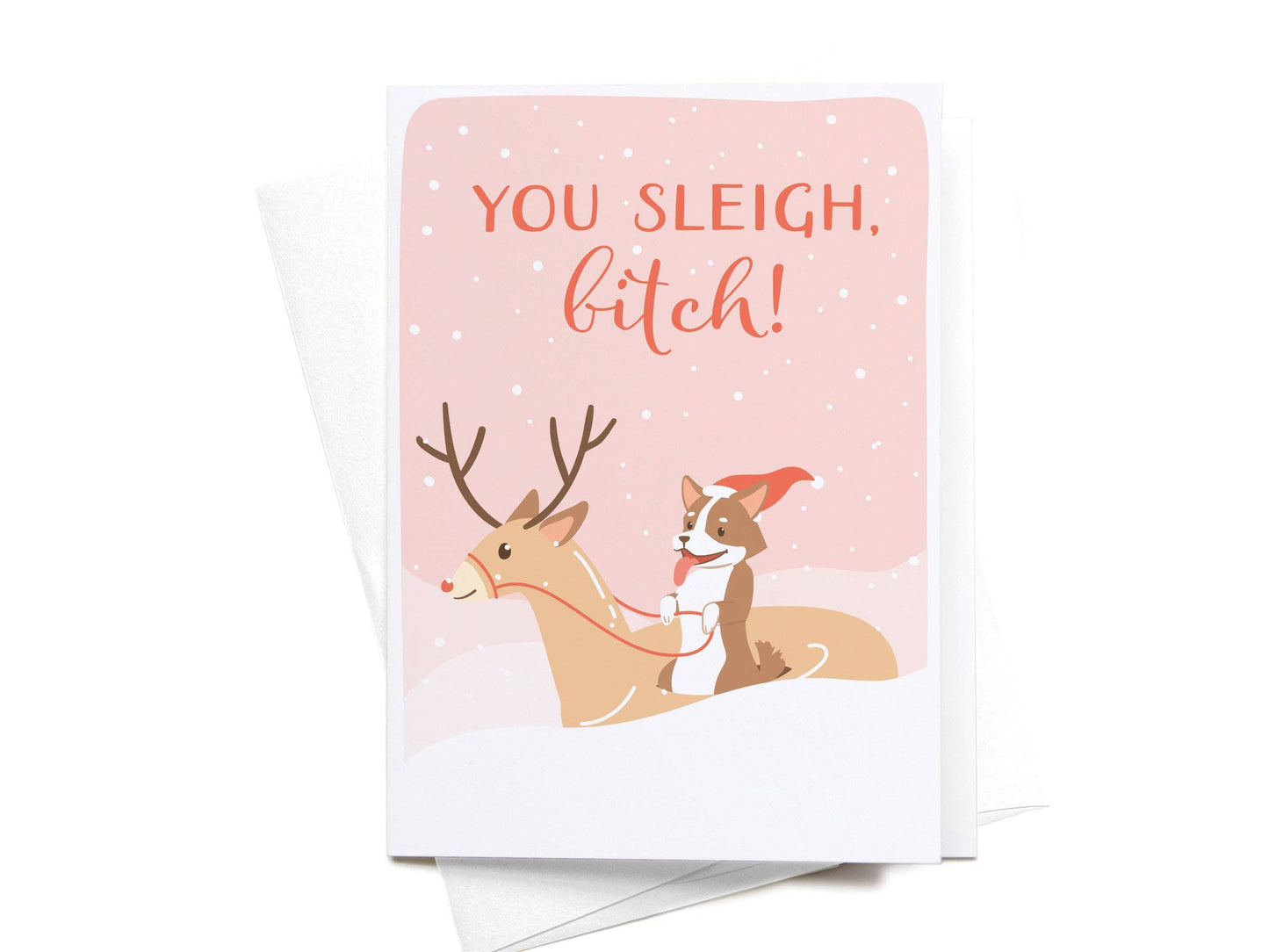 You Sleigh, B*tch! Folded Greeting Note Set of 10