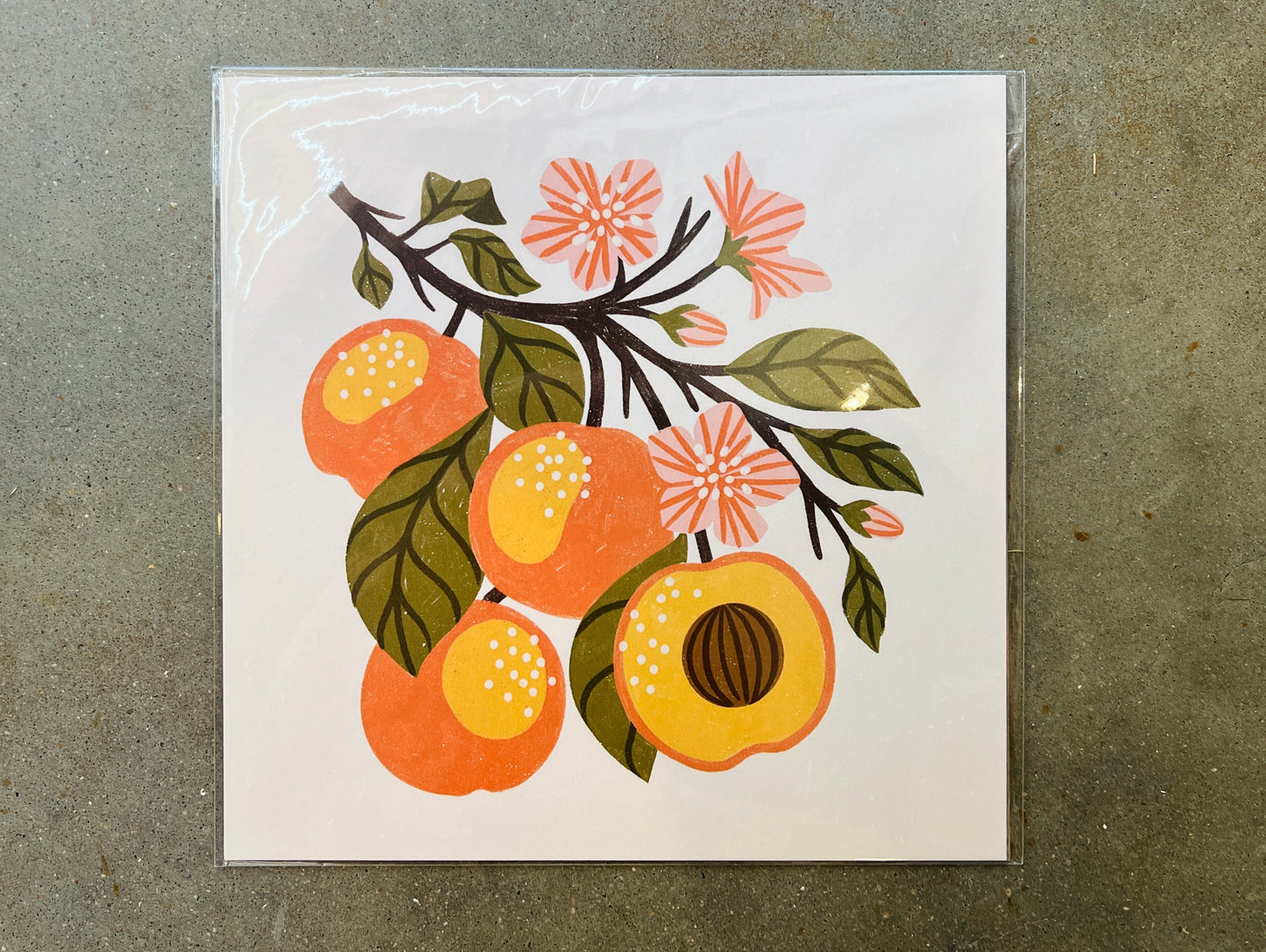 8x8 Art Prints + Framed Art - 10