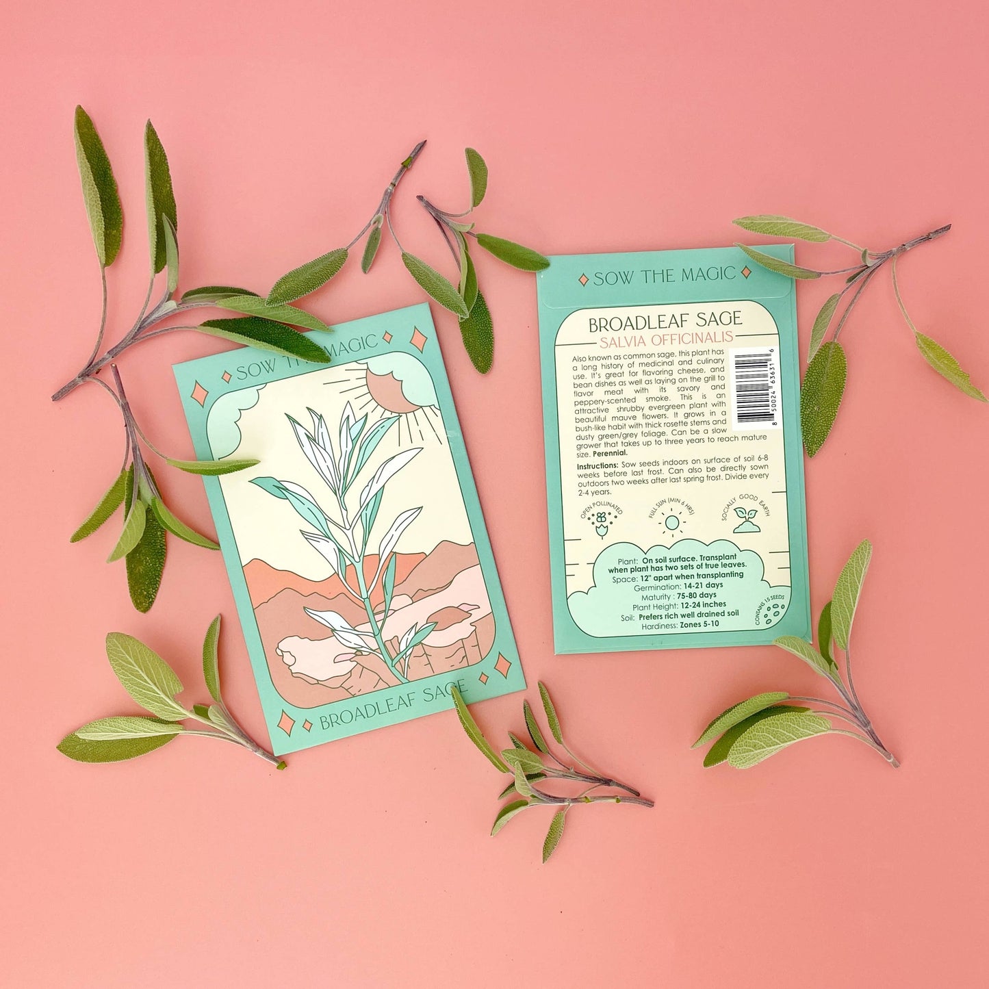 Seed Packet- Broadleaf Sage Tarot Garden + Gift