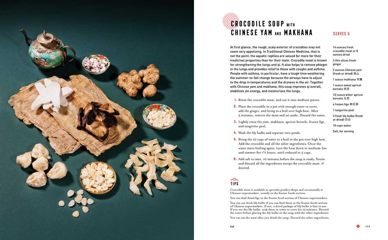Healing Herbal Soups by Rose Cheung