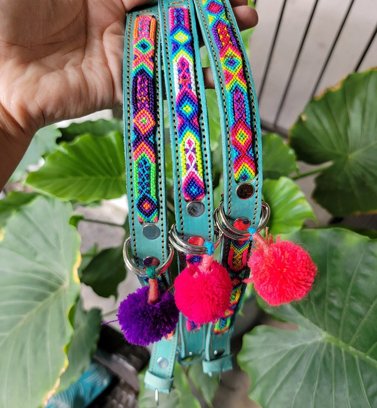 XS Dog Collar - Any Color