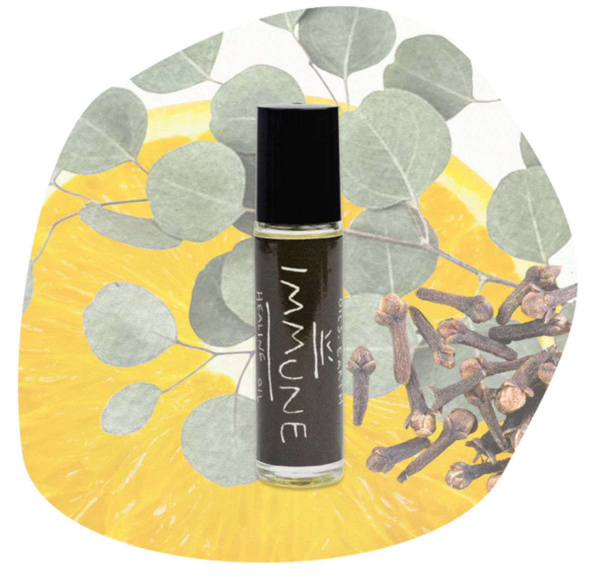 Oil Rollers for Physical Support - 8