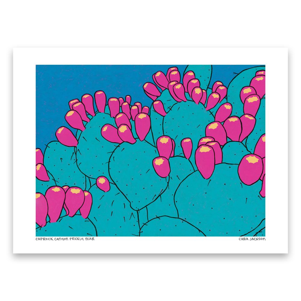 Caprock Canyon Prickly Pear Art Print - 1