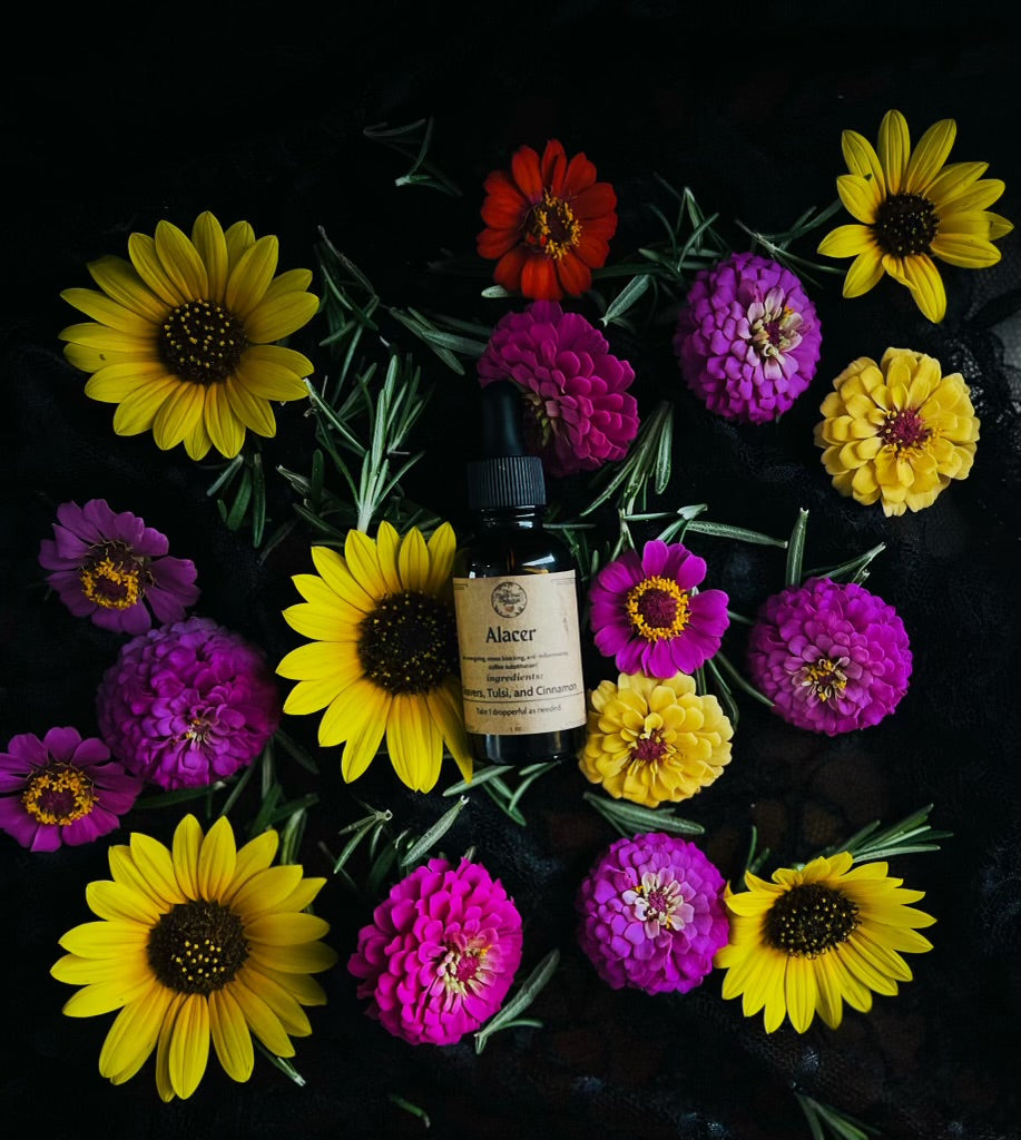 Alacer Tincture (Morning Brain Boost, No Caffeine, No Stress) - 1
