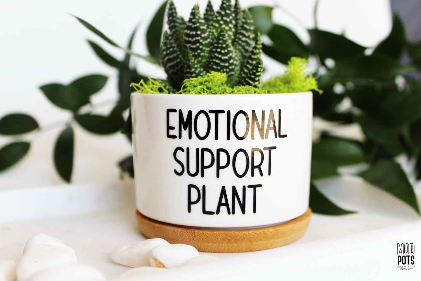 Mod Pots - Emotional Support Plant (R font) - 1
