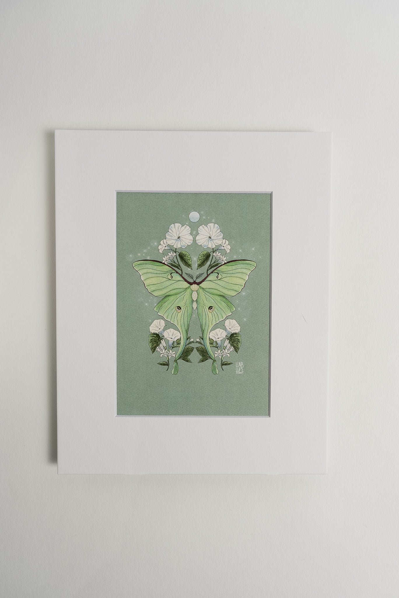 Art Print - Luna Moth - 4