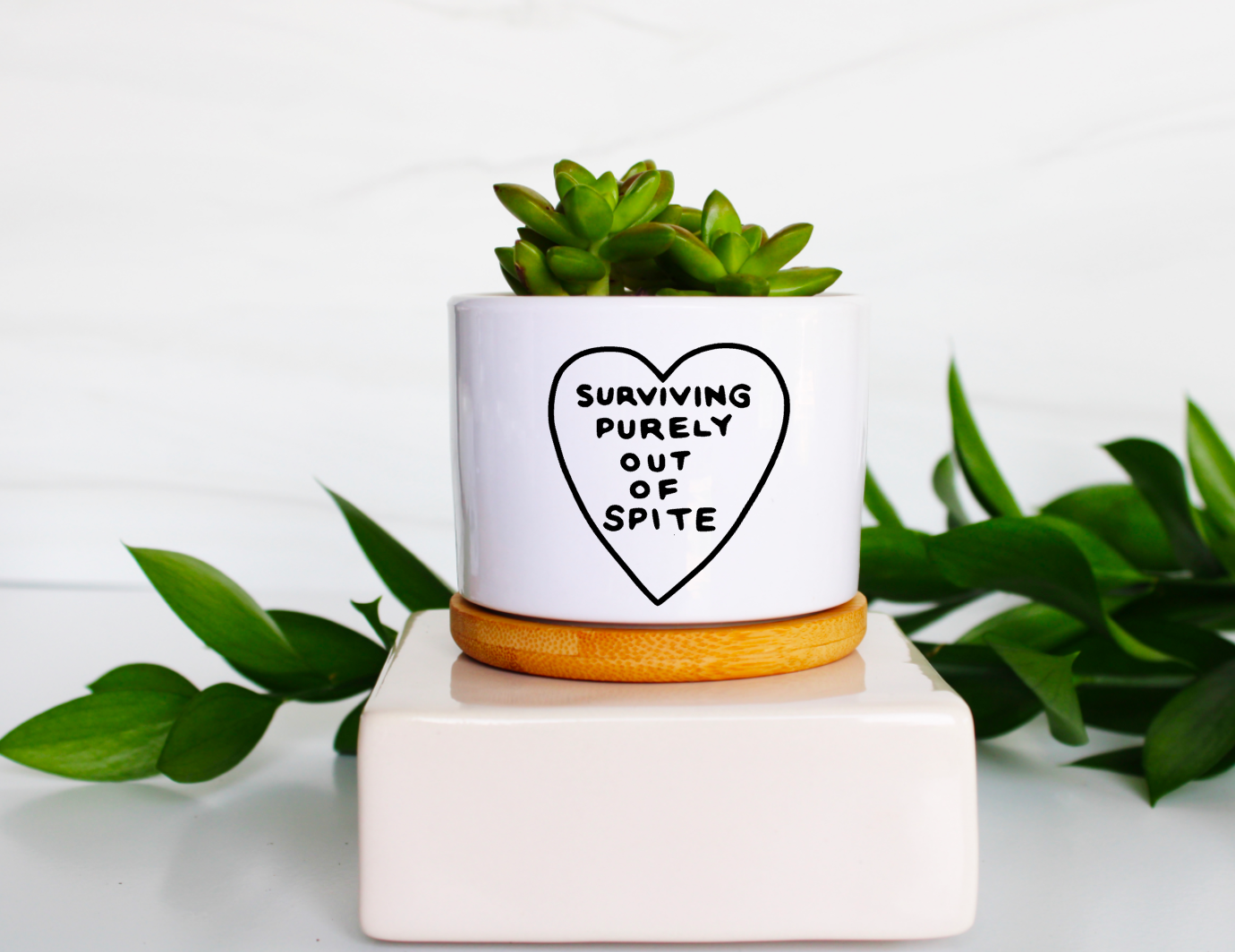 Surviving Purely Out of Spite - 1