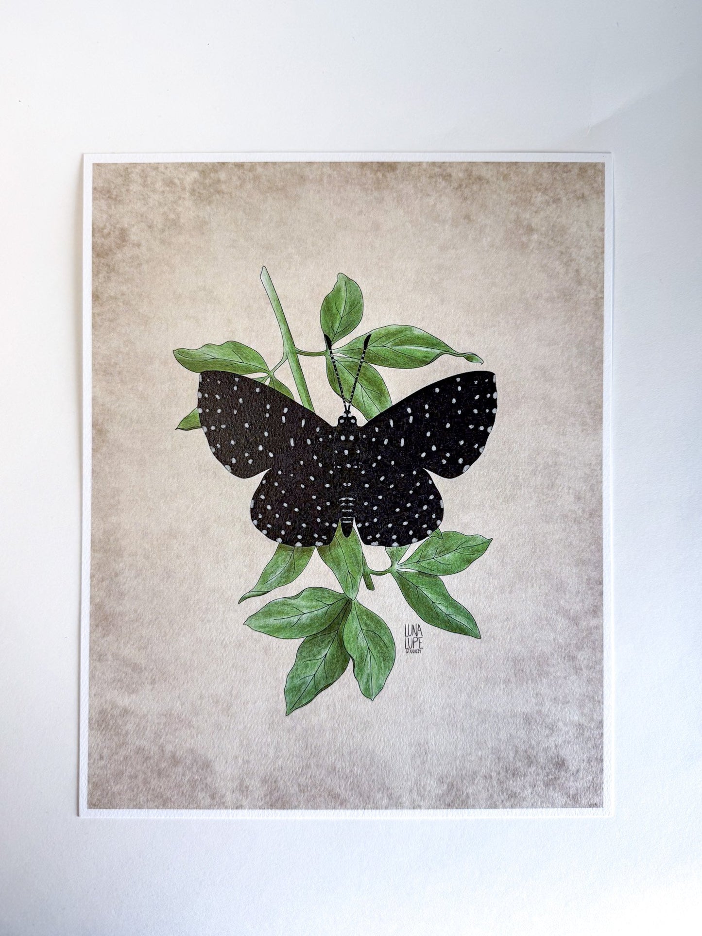 Art Print - Starry Night Butterfly - 1