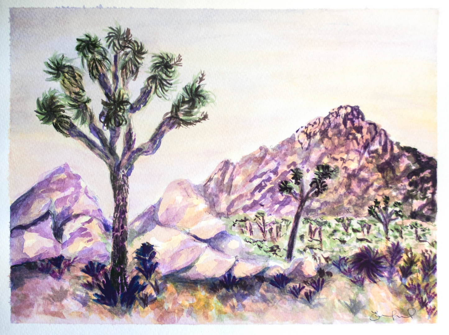 National Park Postcards - 4