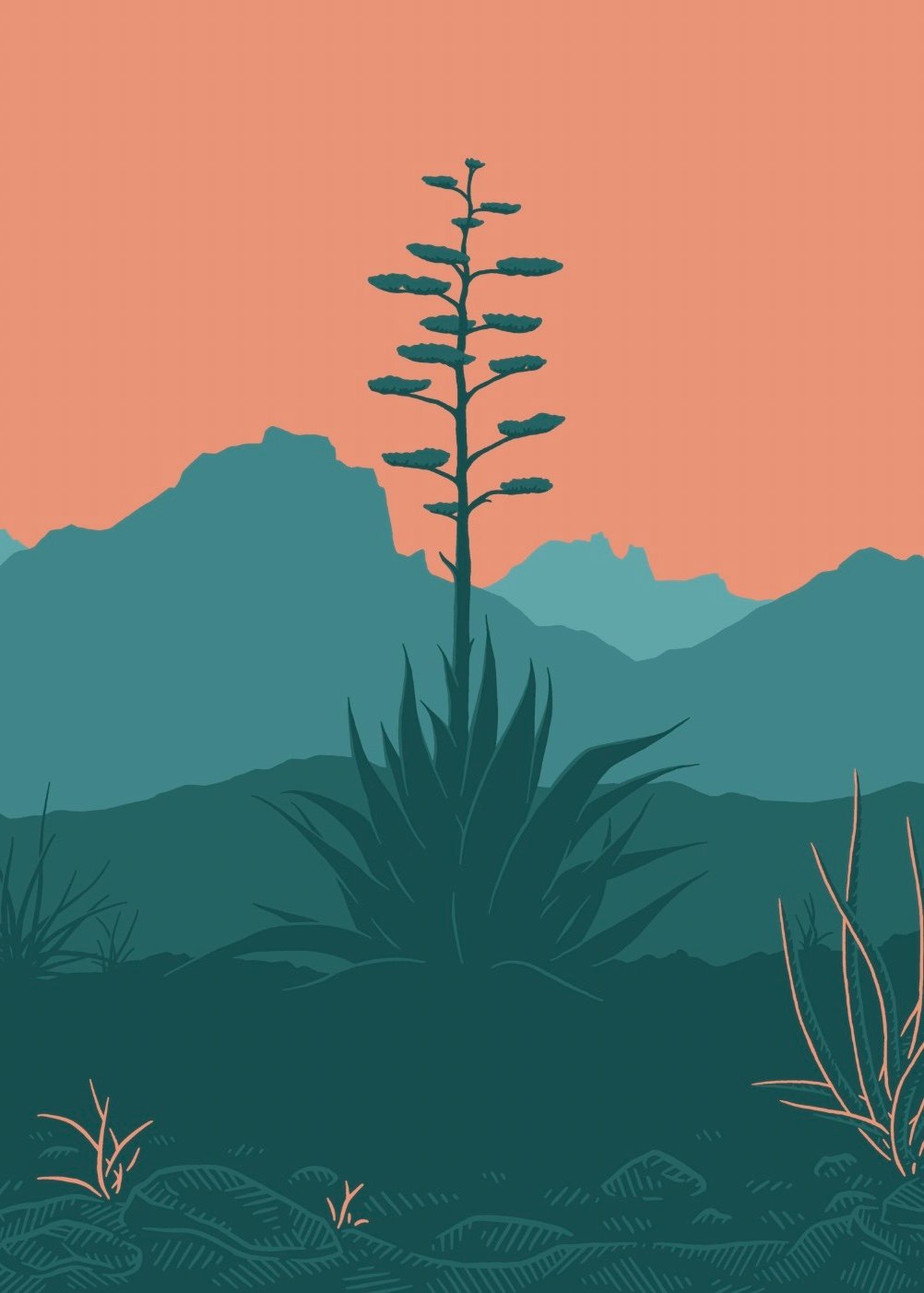 65b2bb63f348b87cbe1f70aa_agave_1782250330893.jpg
