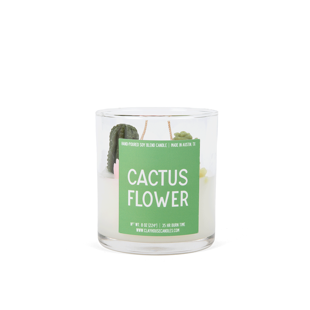 65b2bb63f348b87cbe1f70aa_web-c-tai-clay-r2-cactus-flower-spin-pw_1749582858569.gif