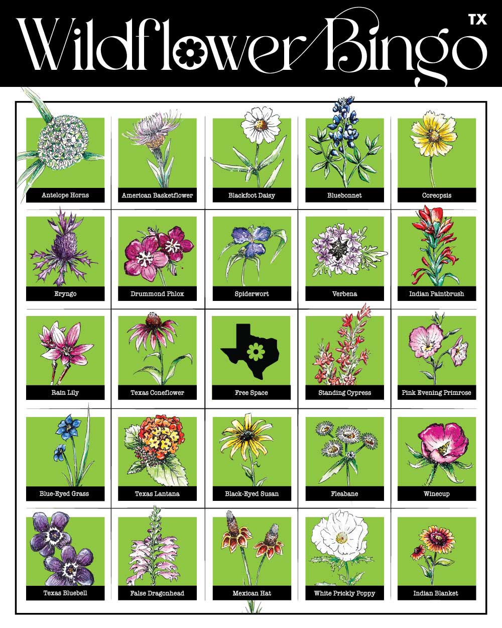 65b2bb63f348b87cbe1f70aa_wildflower-big-back_1767212345885.jpg