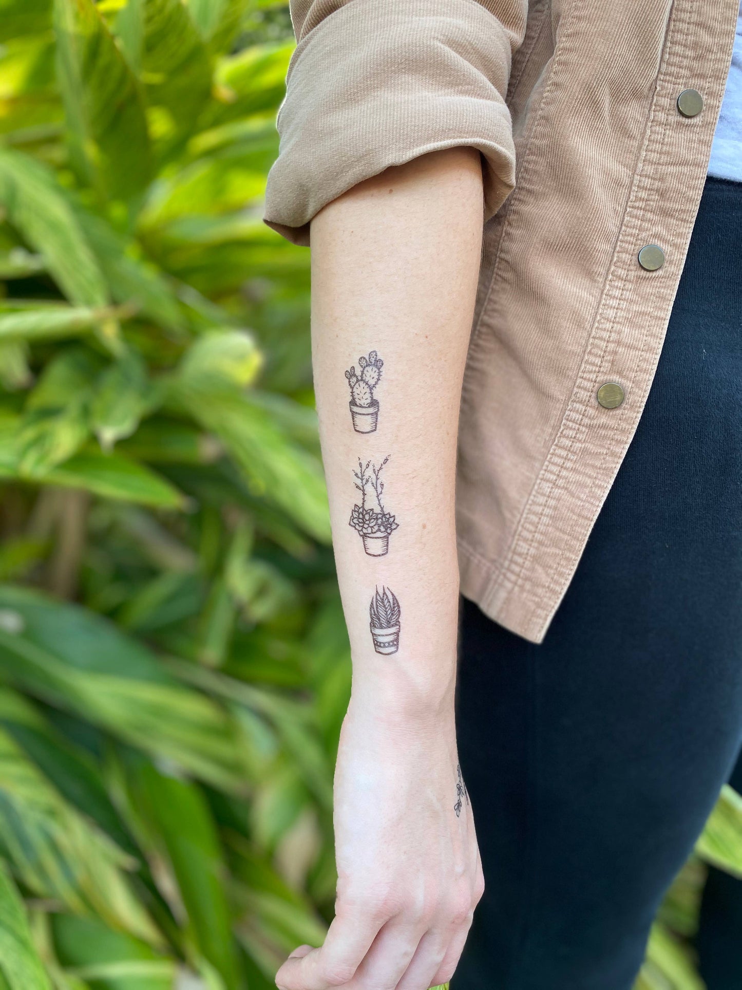 Potted Cactus Temporary Tattoo