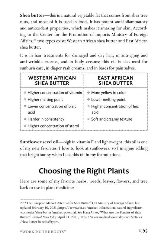 African American Herbalism by Lucretia VanDyke