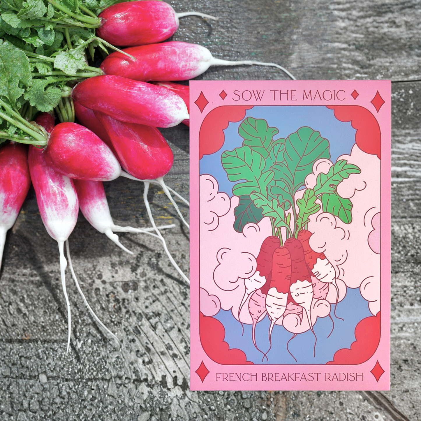 French Breakfast Radish Tarot Seed Packet