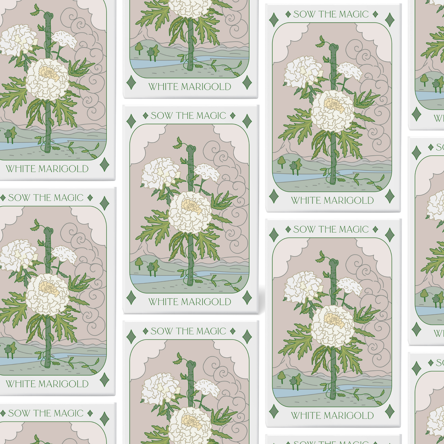 Seed Packet- White Marigold Flower