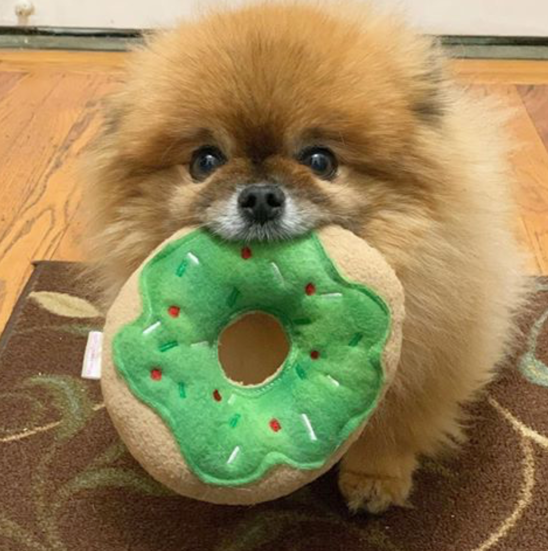 Squeaky Dog Donut toys