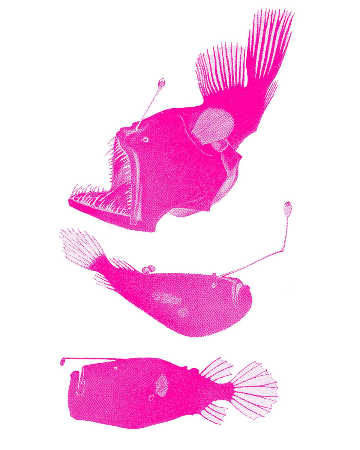 Deep Fish Joan Heavyweight Muscle Tee