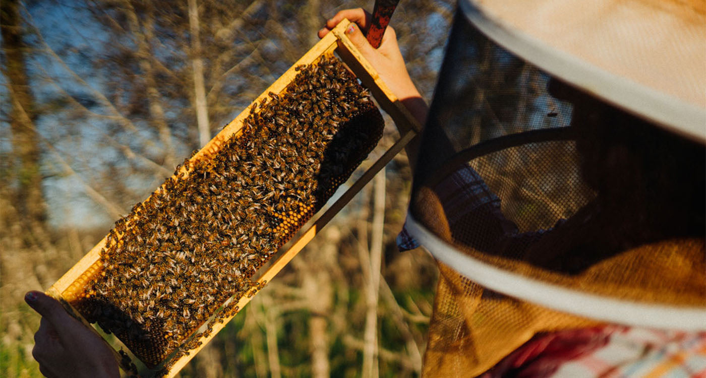 Two Hives Honey