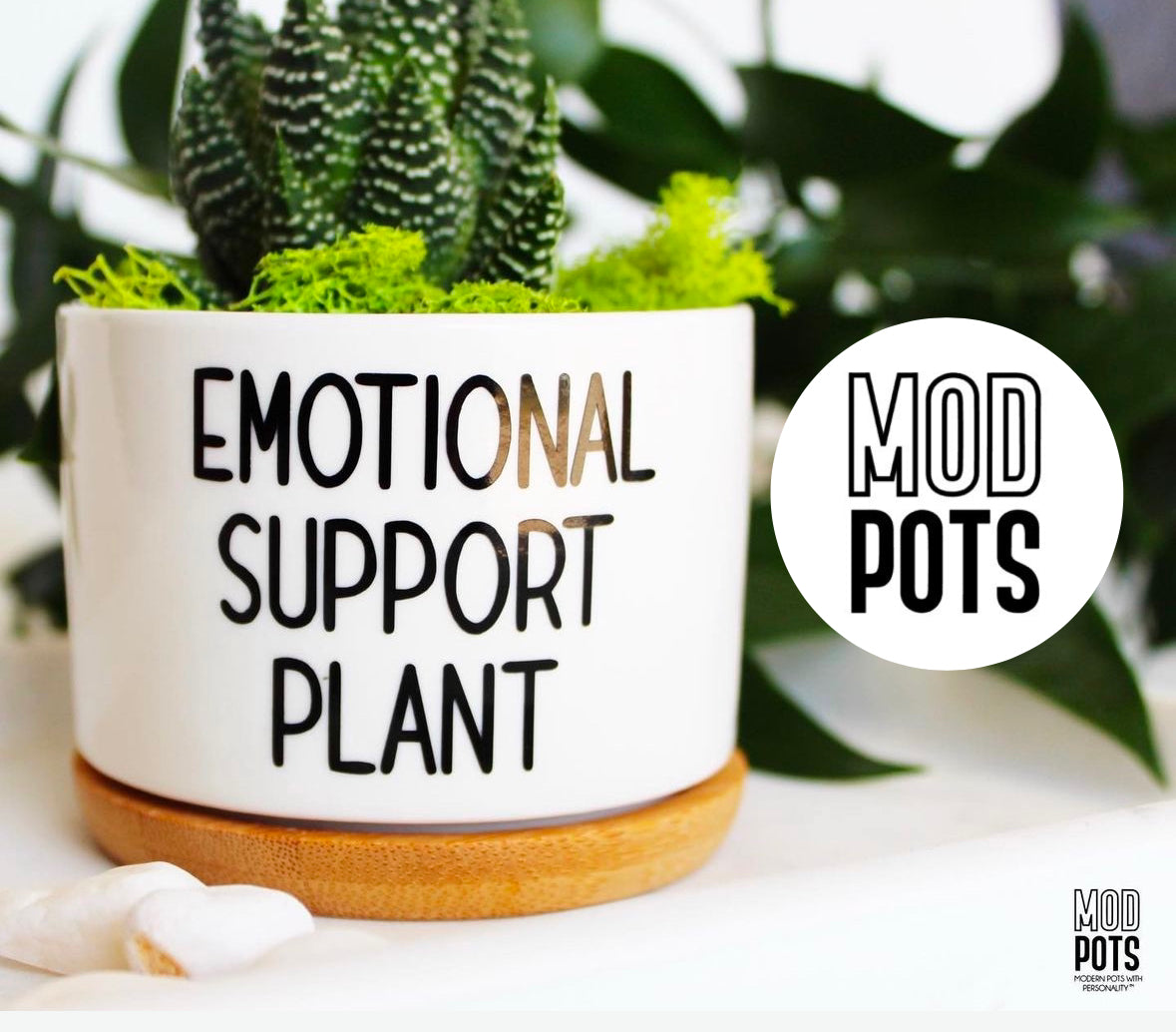 ModPots