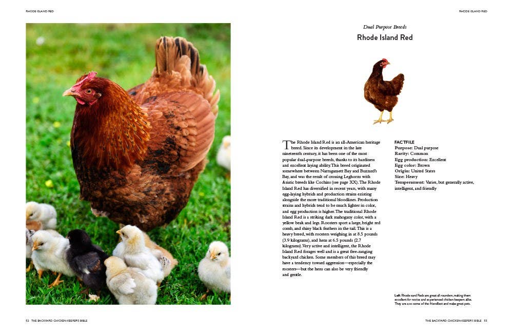 Backyard Chicken Keeper's Bible