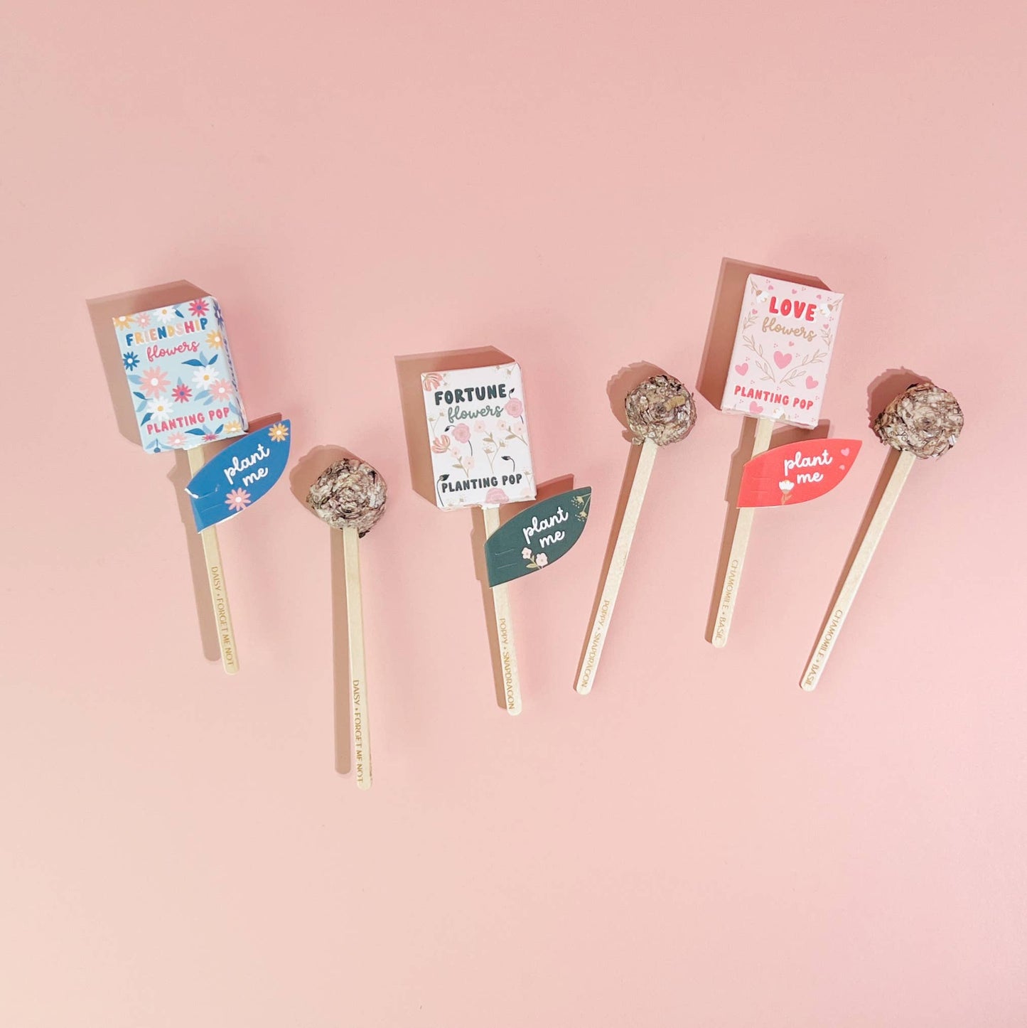 Planting Pop - Love Flowers Seeds