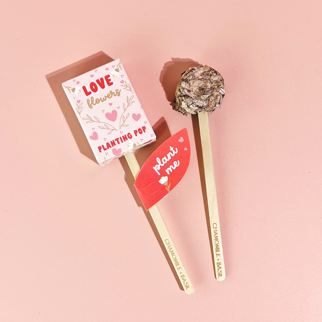 Planting Pop - Love Flowers Seeds