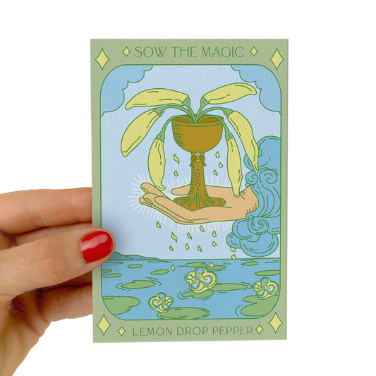 Seed Packet- Lemon Drop Pepper Tarot Garden + Gift