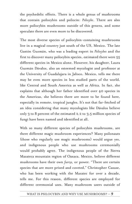 Your Psilocybin Mushroom Companion by Michelle Janikian