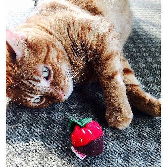 Catnip Strawberry Toys