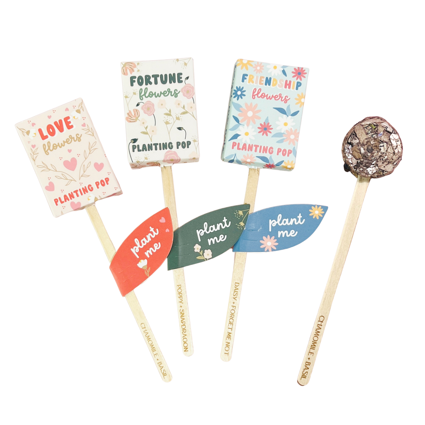 Planting Pop - Love Flowers Seeds