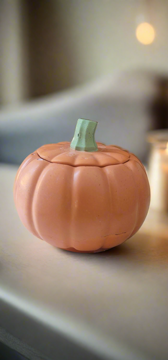 Concrete Pumpkin Container with Lid