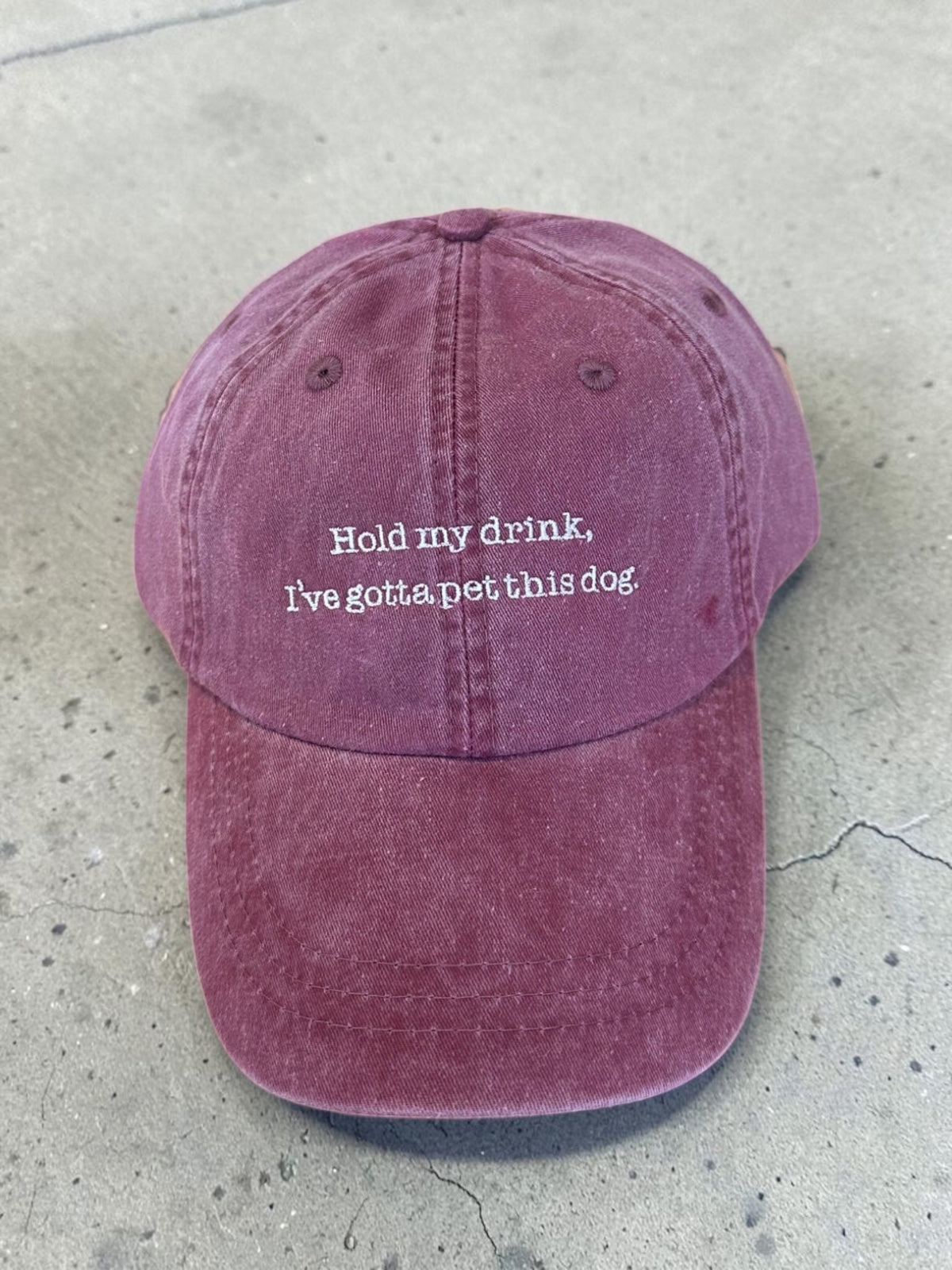 Hold My Drink, I've Gotta Pet This Dog Baseball Cap