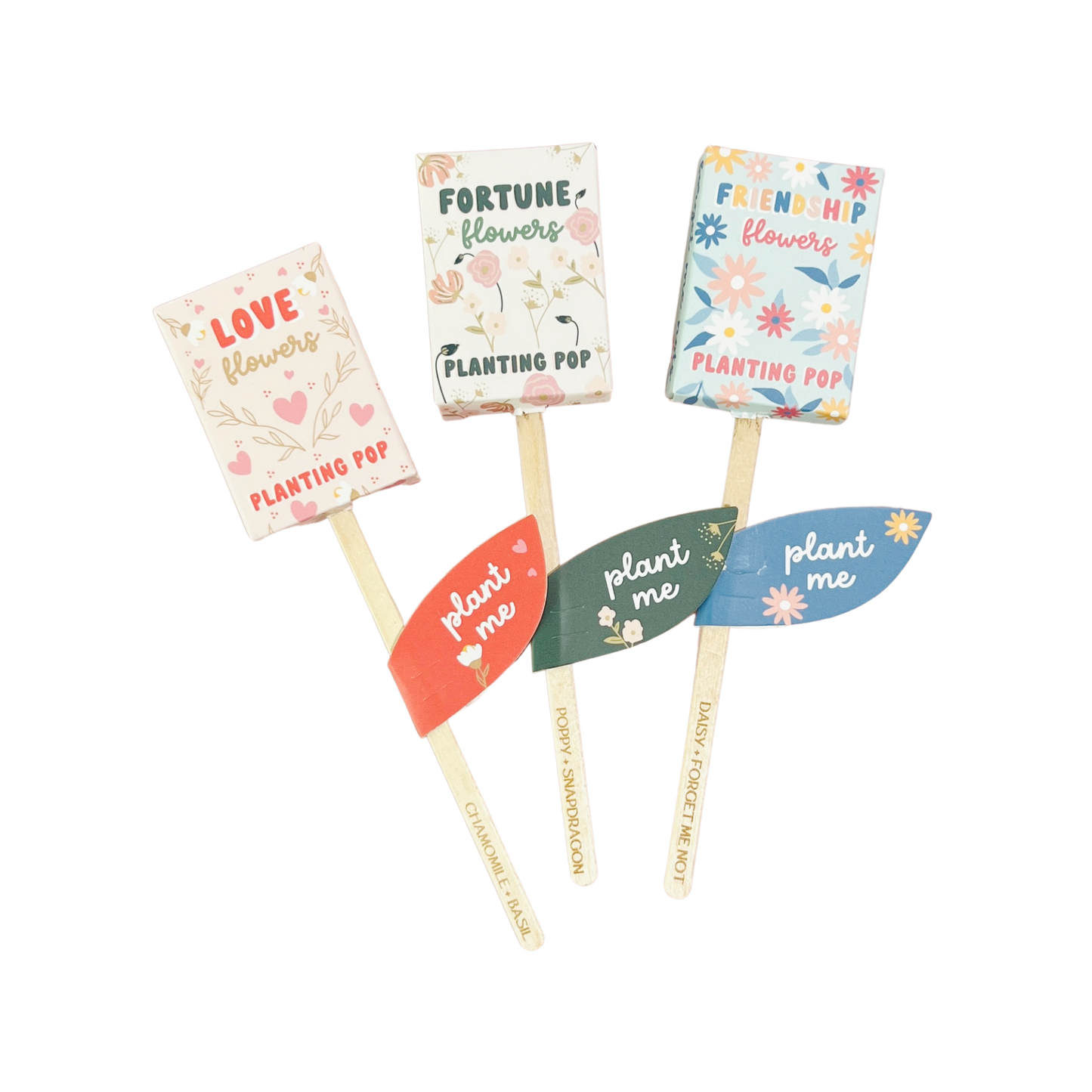 Planting Pop - Love Flowers Seeds