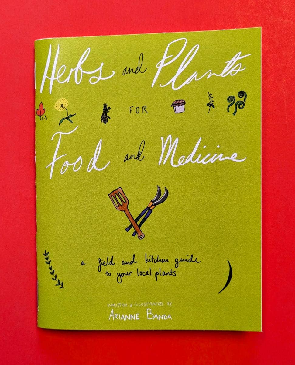 Herbs & Plants for Food & Medicine: Field Kitchen Guide Zine