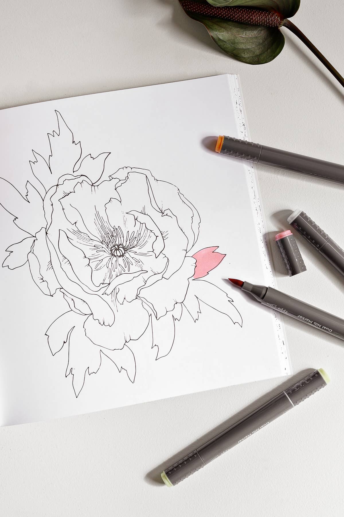 The Plant Lady: A Floral Adult Coloring Book