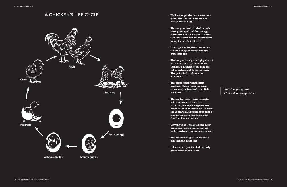 Backyard Chicken Keeper's Bible