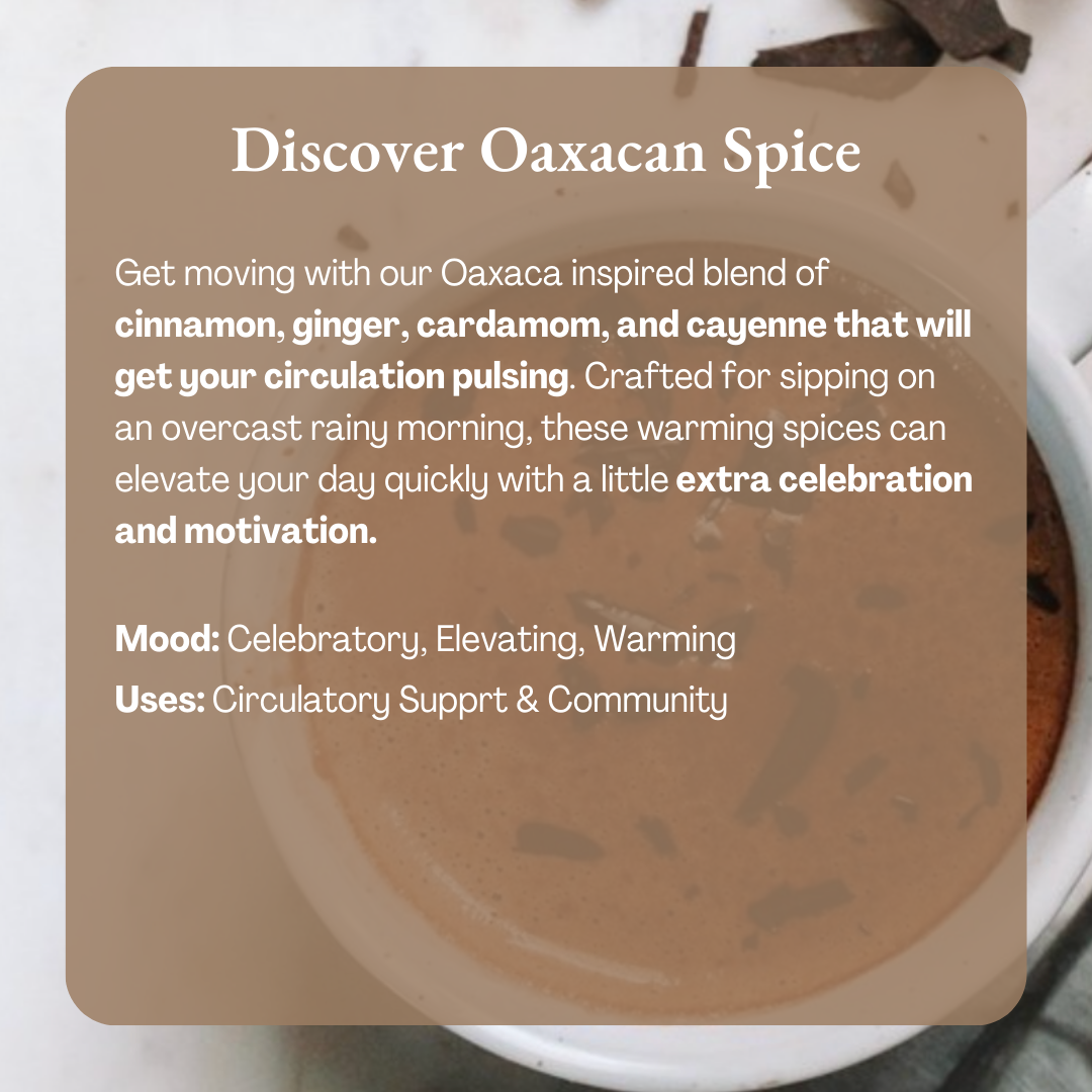 Ceremonial Cacao 1oz Sachets | Oaxacan Spice 100% Organic