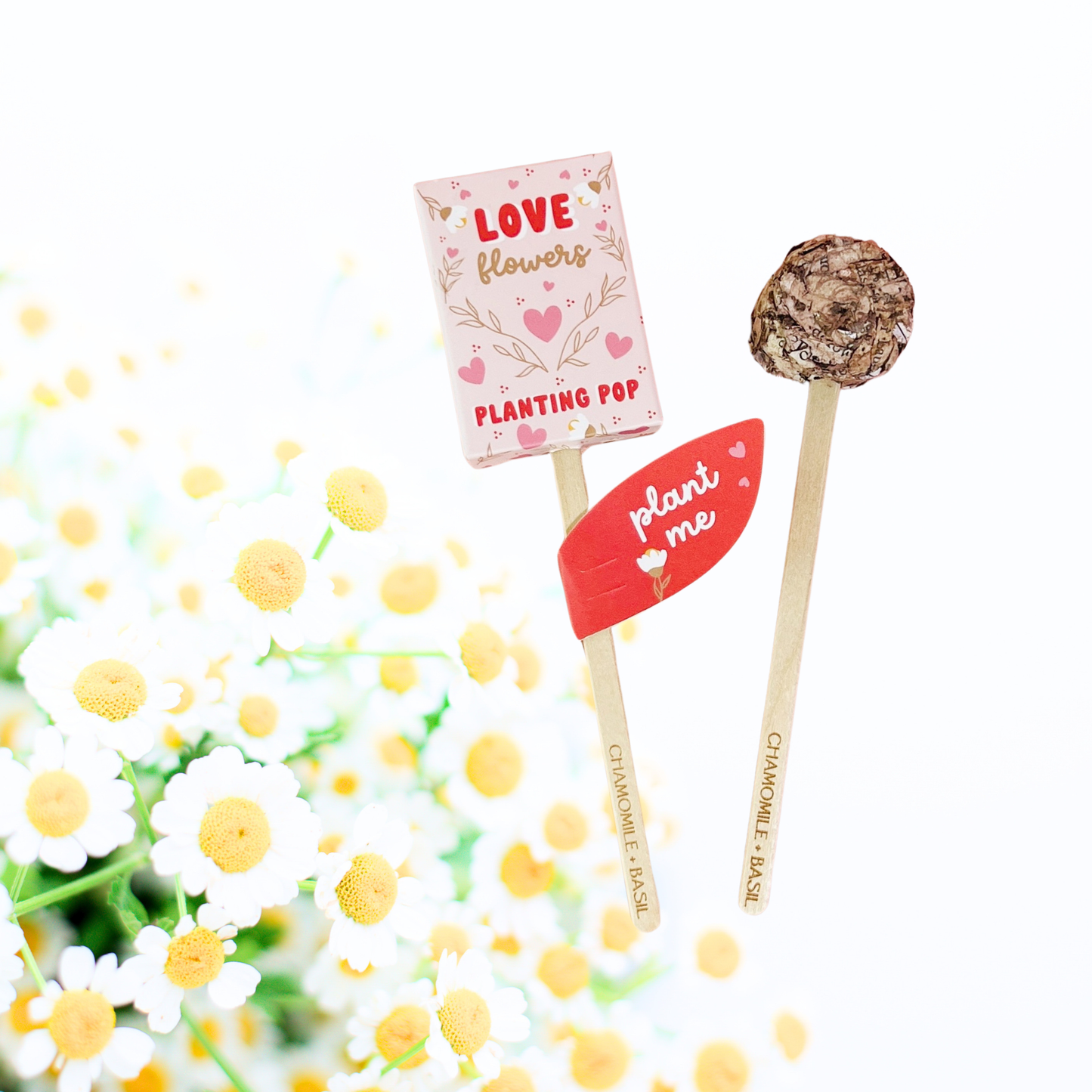 Planting Pop - Love Flowers Seeds