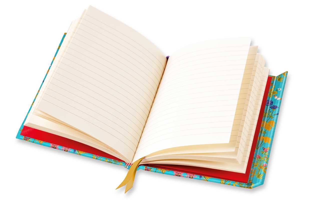 Lisbet Jobs: Aurora (Foiled Journal) by