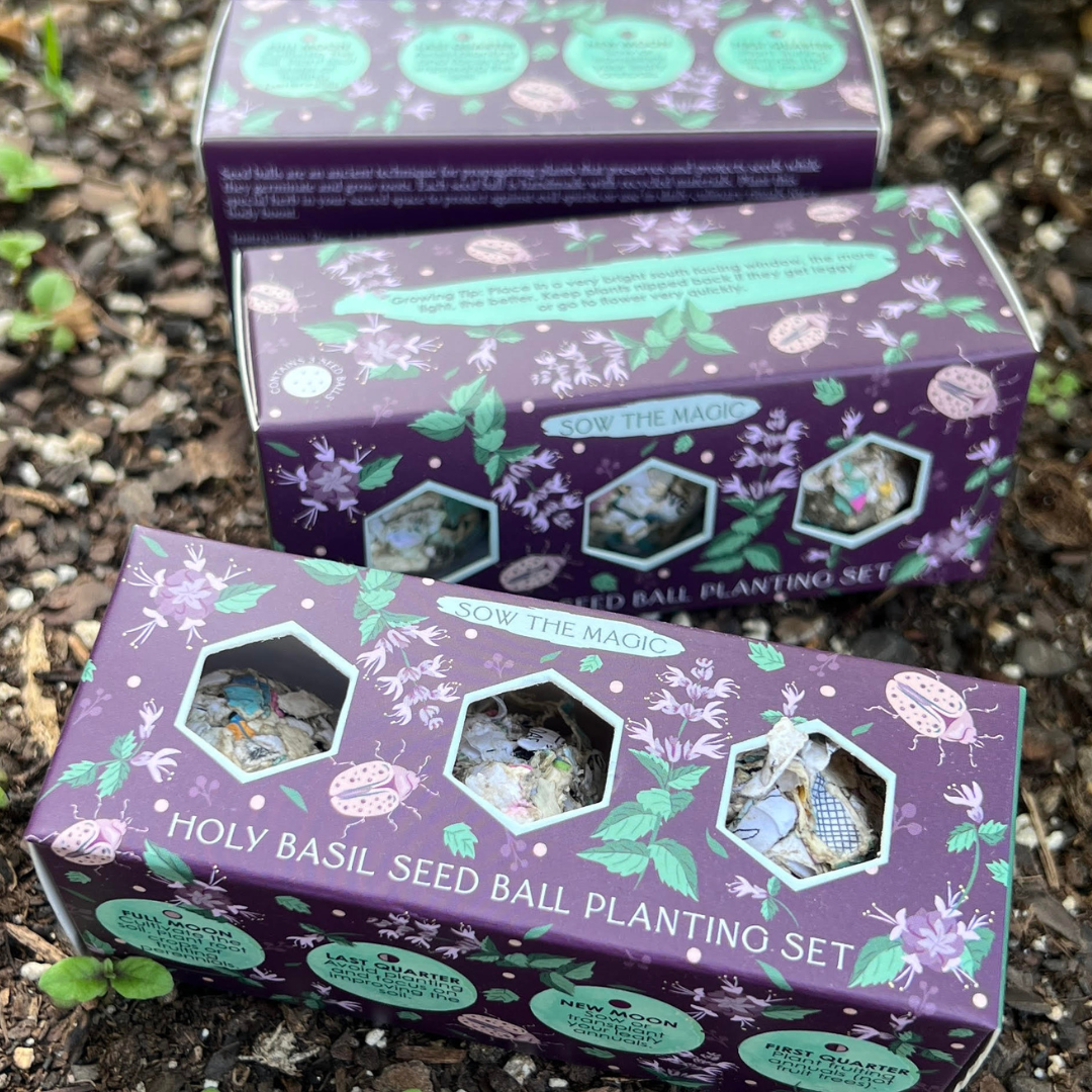 Seed Ball- Protection (Holy Basil) Mini Gift Box Set