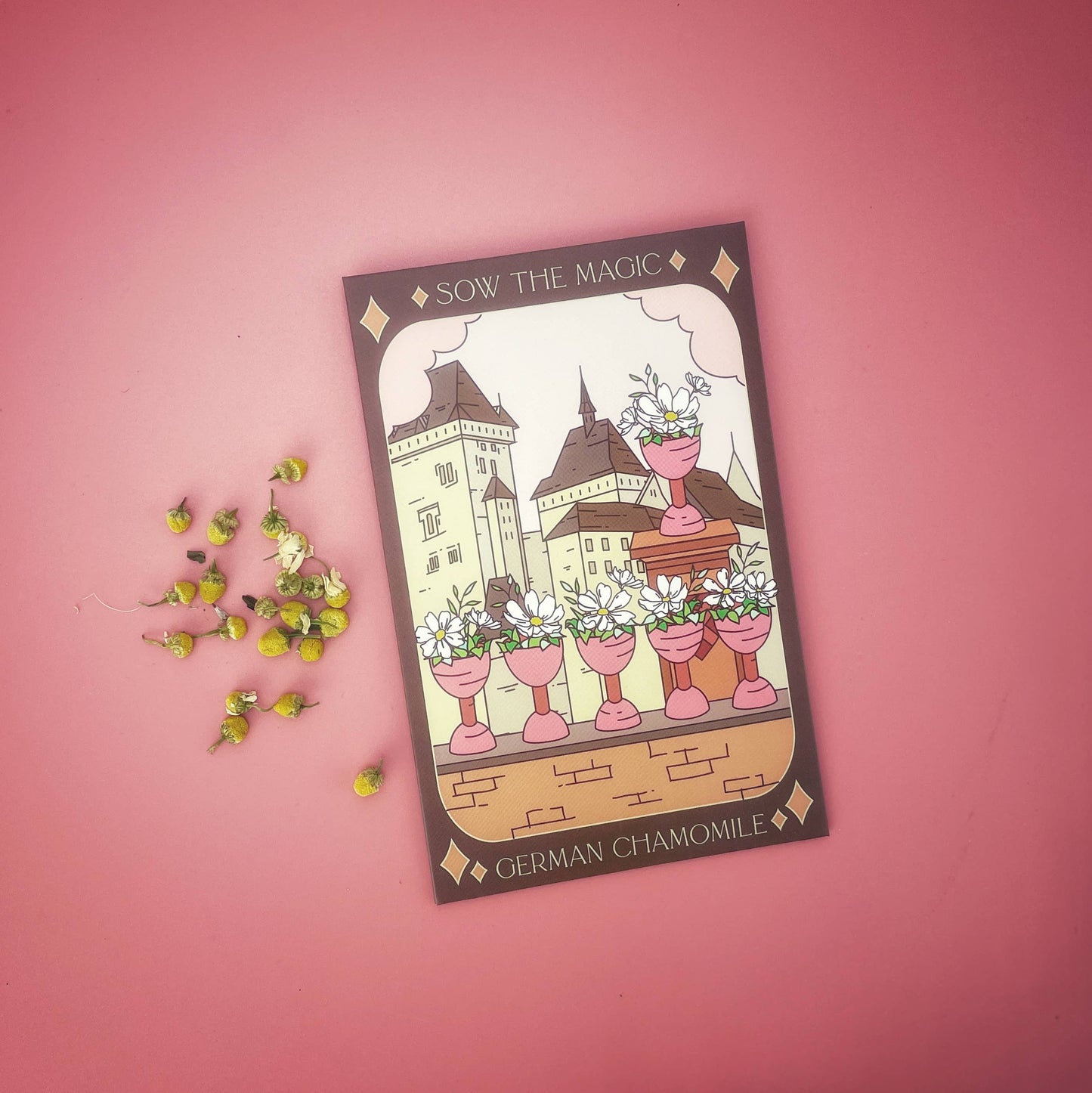 Seed Packet- German Chamomile Tarot Garden + Gift