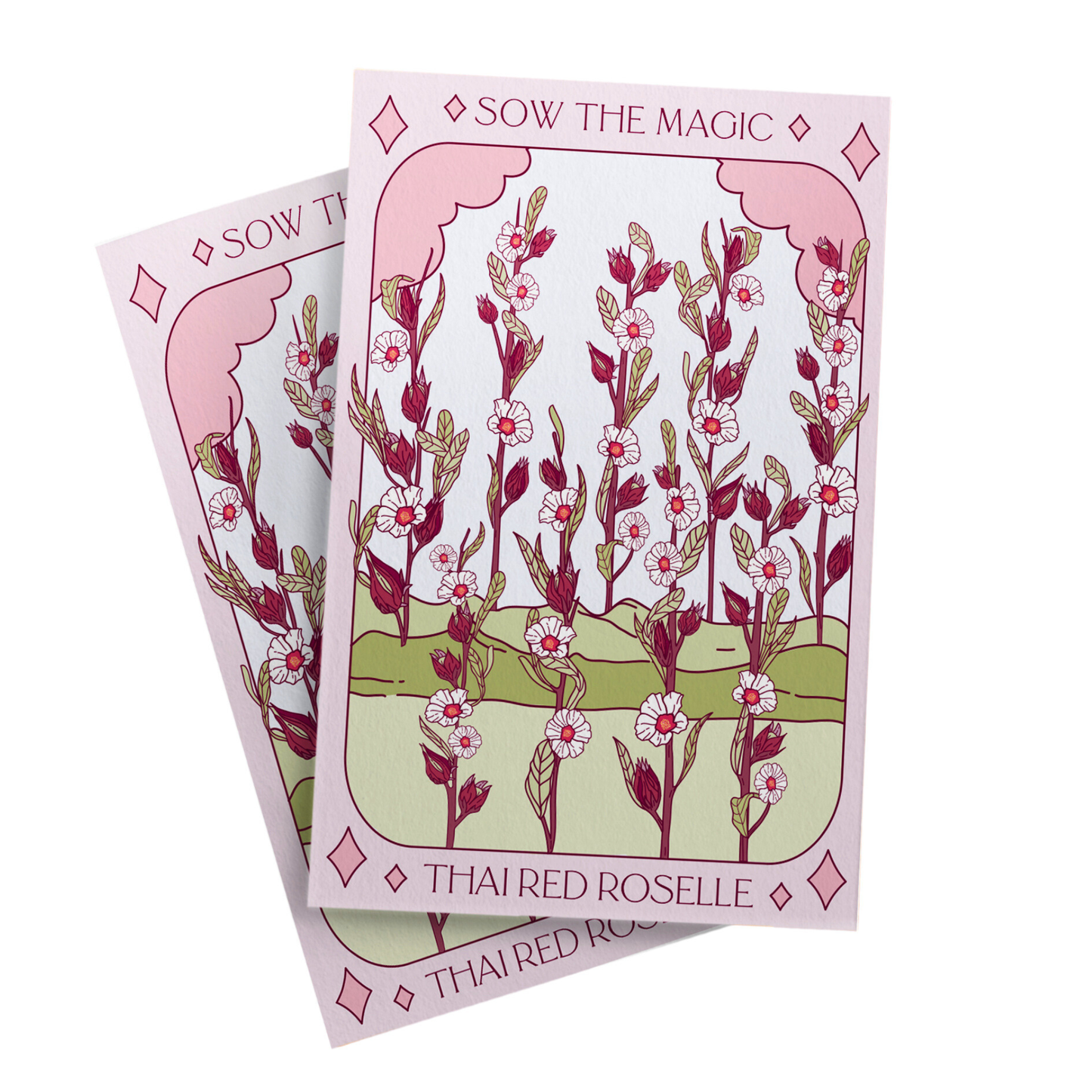 Seed Packet- Thai Red Roselle Hibiscus Tarot Garden + Gift