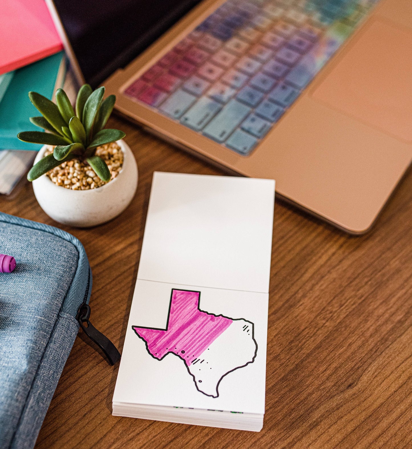 Tiny Texas Themed Illustrations Mini Coloring Book for Adult