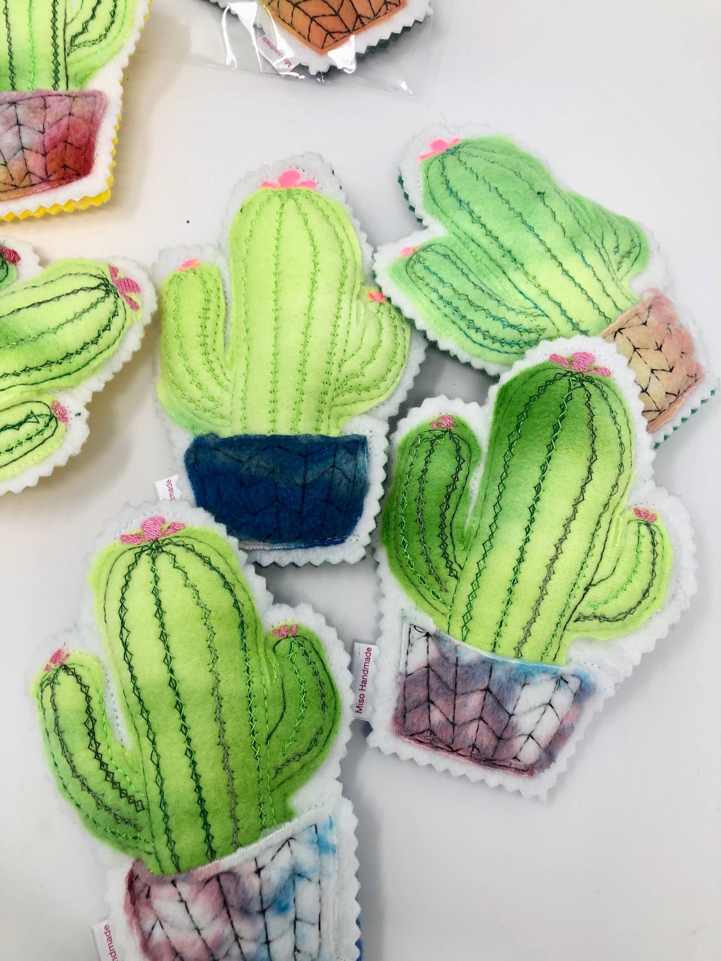 Catnip Cactus 