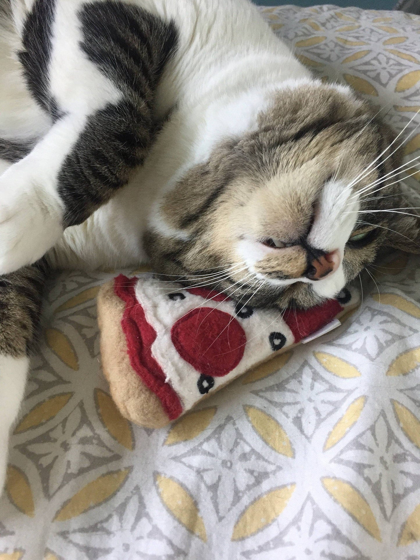 Extra Crispy Catnip Pizza Cat Toy