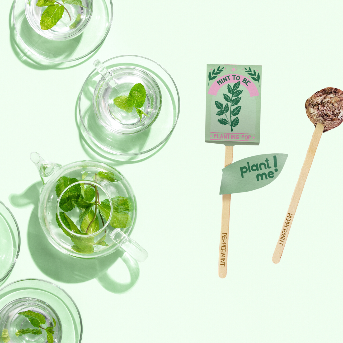 Planting Pop - Mint To Be 💚