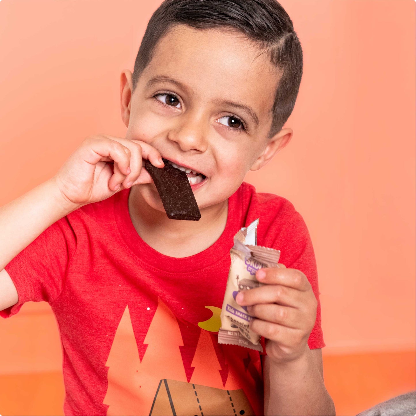 Chocolate Brownie Kids Snack Bar - Skout Organic