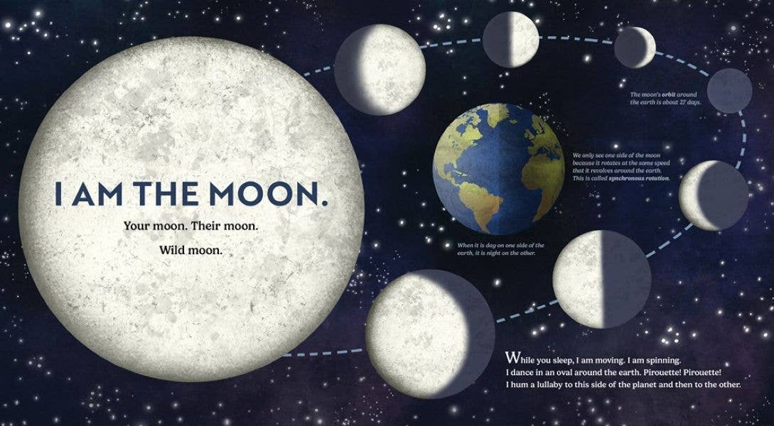 Wild Moon: How the Lunar Phases Light Up Our World